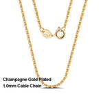 Rinntin 18K Gold 925 Sterling Silver Fashion Cable Link Chains Necklace for Women Thin Neck Chain Accessories Jewelry SC06