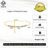 Rinntin Elegant 925 Sterling Silver Colorful Chain Anklet with Bead Zircon for Women Summer Foot Chains Jewelry SA94