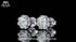 Vixonna Women's Moissanite Classic Stud Earrings 925 Silver D Color VVS1