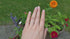 Vixonna Women's Moissanite Full Eternity Wedding Band Ring 925 Silver D Color