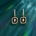 Vixonna Emerald Cut Moissanite Earrings 0.5ct D Color 925 Silver
