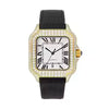 Vixonna Men's Moissanite Automatic Watch Sapphire Crystal Stainless Steel