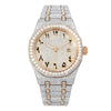 Vixonna Men's Moissanite Automatic Watch VVS1 Stainless Steel