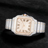 Vixonna Men's Moissanite Watch Mechanical Sapphire Stainless Steel