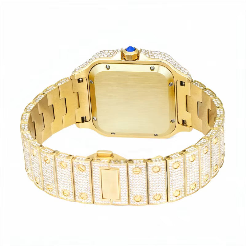 Vixonna Men's Moissanite Watch Mechanical Sapphire Stainless Steel