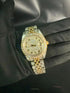 Vixonna Unisex Moissanite Iced Out Automatic Watch VVS Diamond