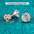 Vixonna Women's Moissanite Stud Earrings 925 Silver D Color VVS1