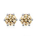 Vixonna Women's Moissanite Stud Earrings 925 Silver D Color VVS1