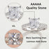 Vixonna Women's Moissanite Wedding Ring Set 925 Silver Princess Cut