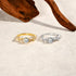 Vixonna Women's Round Moissanite Ring 925 Silver D Color VVS1 Vine